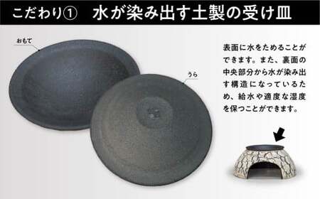 爬虫類 ウェットシェルター | 爬虫類 セキグチタカヒト