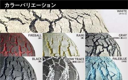 爬虫類 ウェットシェルター | 爬虫類 セキグチタカヒト