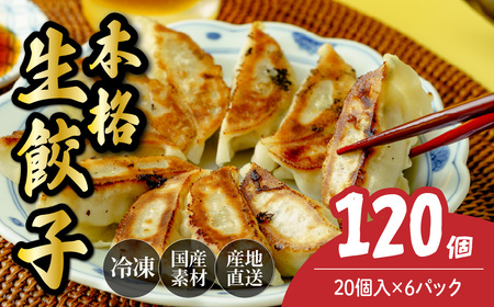餃子 生餃子 120個 | ぎょうざ 冷凍 北本フーズ