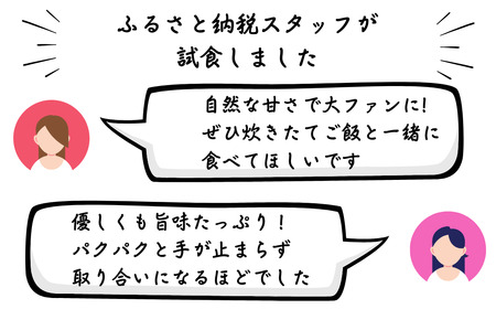 べったら漬専門店がお届けする本造りべったら漬【180g×3袋 調味料（アミノ酸等）未使用 専門店 べったら べったら漬 漬物 つけもの お土産】