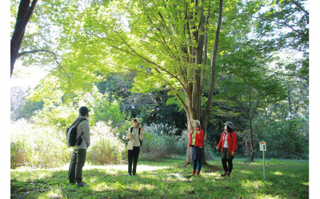 体験コース きたもと森林セラピー 1～3名 | 体験 北本市観光協会