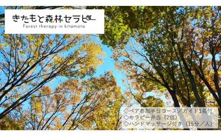体験コース きたもと森林セラピー ハンドマッサージ付き (2名分) | 体験 北本市観光協会