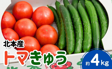 トマト&きゅうりセット 埼玉県産 計約4kg | トマト きゅうり 桜国屋