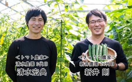 トマト&きゅうりセット 埼玉県産 計約4kg | トマト きゅうり 桜国屋