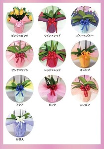 中輪胡蝶蘭　桜姫3本立ち（ラッピング付）