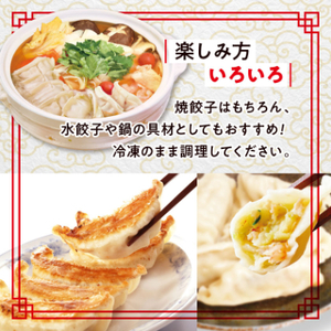【毎月定期便】「ぎょうざの満洲」生餃子＆食べ比べ2種＆ラーメンセット全3回_餃子 ラーメン ぎょうざ セット 生餃子 冷凍 ぎょうざの満州 食べ比べ 自家製 人気 おすすめ 送料無料 お取り寄せ 便利 簡単調理 定期便_【配送不可地域：離島】【4056655】
