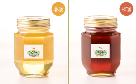 純粋坂戸はちみつ約550g(185g3個)_調味料 はちみつ  ハチミツ 蜂蜜_【1201208】