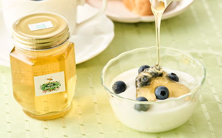 純粋坂戸はちみつ約550g(185g3個)_調味料 はちみつ  ハチミツ 蜂蜜_【1201208】