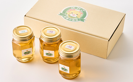 純粋坂戸はちみつ約550g(185g3個)_調味料 はちみつ  ハチミツ 蜂蜜_【1201208】