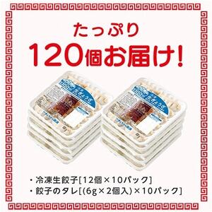 冷凍生餃子10パック(120個)　ぎょうざの満洲【配送不可地域：離島】【1238201】