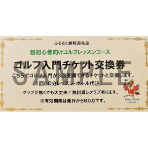 ゴルフ入門チケット_旅行券・チケット ゴルフプレー券 体験チケット _【1297577】