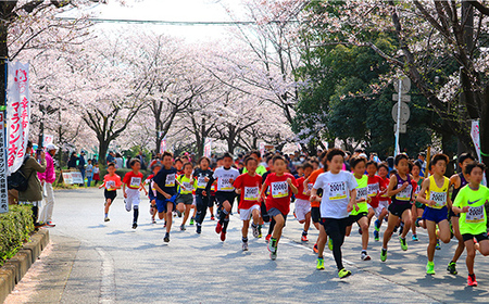 第32回幸手市さくらマラソン大会出走権（駐車券付）（種目：10km）