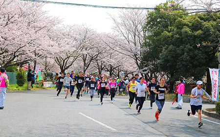 第32回幸手市さくらマラソン大会出走権（駐車券付）（種目：10km）