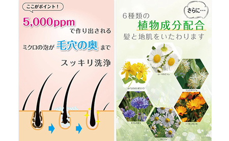 KIREIN 炭酸シャンプー - 無添加 しっとり 高保湿 スッキリ 癒し シャンプー 炭酸シャンプー ヘッドスパ 植物成分 ダメージケア KIREIN