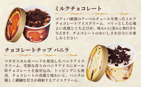 【ふるなび限定】【ゴディバ】GODIVA アイスコレクション 5種 10個 - 贅沢 ご褒美 アイス アイスクリーム 贈り物 夏 お菓子 スイーツ お取り寄せ チョコレートアイス チョコアイス ダークチョコ ミルクチョコ クリスピー バニラ ヘーゼルナッツ ゴディバ GODIVA godiva FN-Limited