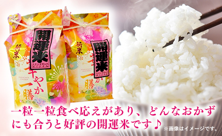 【無洗米】令和6年産 開運米（特選米）幸手産 - コシヒカリ 5kg×2袋 10㎏ 福祉 応援 安心 安全 埼玉県 幸手市 幸手市産【価格変更】