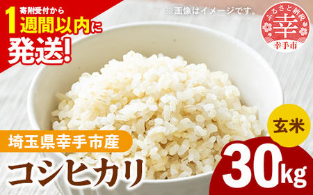 新米発送】令和6年産 幸手市産 コシヒカリ 玄米30kg 色彩選別済 Brown Rice - お米 米 こしひかり 玄米 30kg 埼玉県 幸手市  | 埼玉県幸手市 | ふるさと納税サイト「ふるなび」