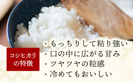 令和7年産 幸手市産 コシヒカリ 玄米30kg 色彩選別済 Brown Rice - お