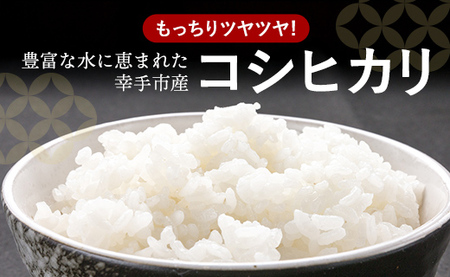令和7年産 幸手市産 コシヒカリ 白米10kg 色彩選別済 White Rice- お米