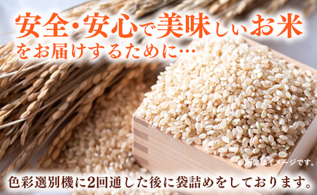 【玄米】令和6年産 開運米（特選米）幸手産 - コシヒカリ 10kg（10kg×1袋） 福祉 応援 安心 安全 埼玉県 幸手市 幸手市産【価格変更】