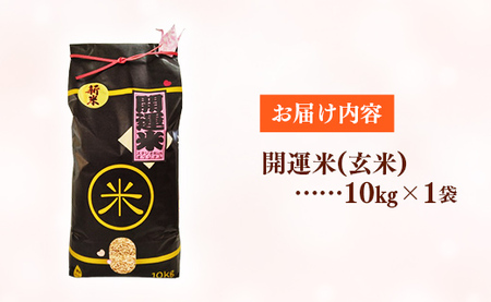 【玄米】令和6年産 開運米（特選米）幸手産 - コシヒカリ 10kg（10kg×1袋） 福祉 応援 安心 安全 埼玉県 幸手市 幸手市産【価格変更】