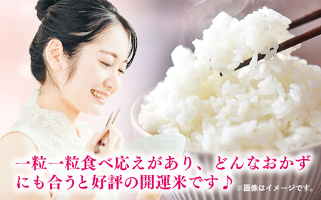 【ふるなび限定】【無洗米】令和7年産 開運米 コシヒカリ（減農薬）幸手産 - 5kg×1袋 ５kg こしひかり 福祉 応援 安心 安全 埼玉県 幸手市 幸手市産【価格改定】 FN-Limited-PR