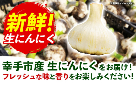 にんにく 1kg - 2026年度 幸手市産 採れたて ニンニク ガーリック きあり農園