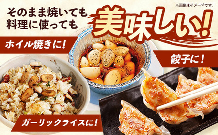 にんにく 1kg - 2026年度 幸手市産 採れたて ニンニク ガーリック きあり農園