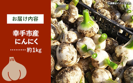 にんにく 1kg - 2026年度 幸手市産 採れたて ニンニク ガーリック きあり農園