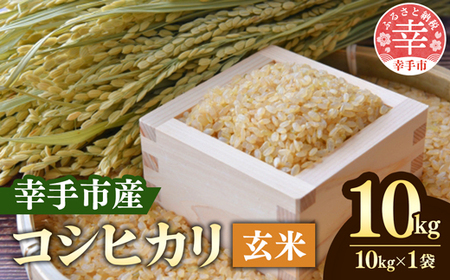 令和6年度産 埼玉県産 こしひかり30キロ