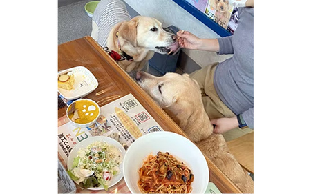 ”愛犬と伴にお食事” 「Dog Runs Well・ドッグパーク幸手店舗」お食事券