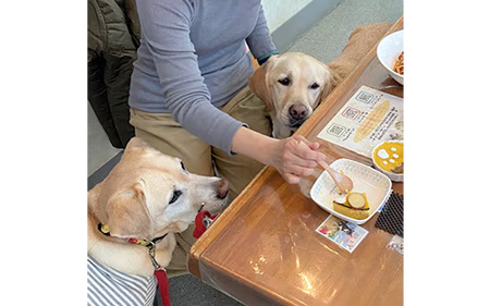 ”愛犬と伴にお食事” 「Dog Runs Well・ドッグパーク幸手店舗」お食事券