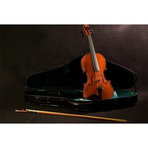 Kosuke Ikebuchi作　富士山バイオリン【1127359】