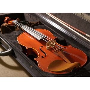 Kosuke Ikebuchi作　プライベートメイドバイオリン【1127361】