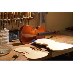 Kosuke Ikebuchi作　プライベートメイドバイオリン【1127361】