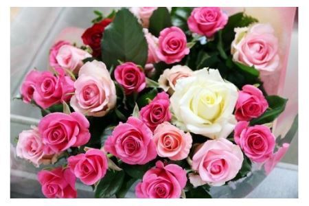 【約20本】生産者直送　有機栽培で育った朝切りバラの花束　【11246-0045】