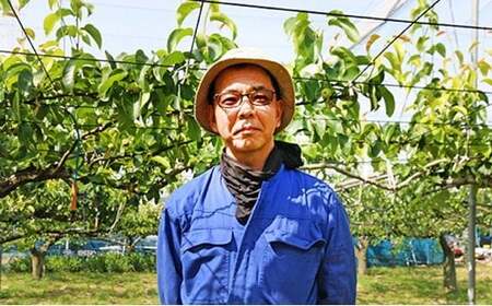 【2026年発送分 先行予約】白岡・下野田 斎藤さんちの美味しい梨 幸水　約2.5kg　【11246-0359】