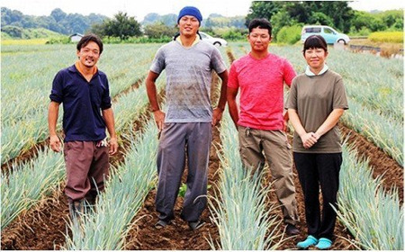 関田農園の「厳選 長ねぎ(泥付き)」箱3kg 【11246-0114】