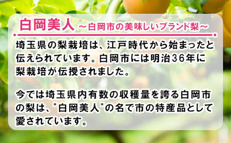 【2026年発送分 先行予約】折原梨園のおいしい梨　約5kg　幸水・豊水・あきづき　【11246-0356】