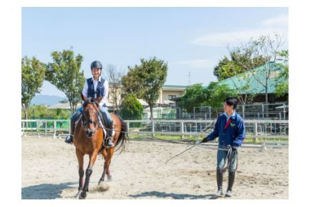 乗馬体験１回コース【東武乗馬クラブ＆クレイン】【11246-0206】