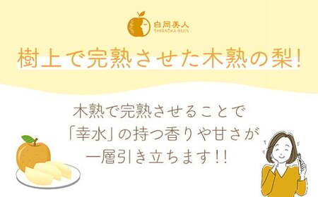【2026年発送分 先行予約】白岡ちば果樹園の樹上完熟　幸水　5kg　【11246-0350】 梨