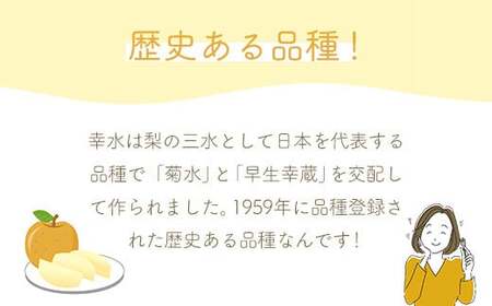 【2026年発送分 先行予約】白岡ちば果樹園の樹上完熟　幸水　5kg　【11246-0350】 梨