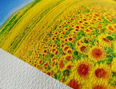 版画 絵画 名画 ひまわり(1888) フィンセント・ファン・ゴッホ S 【11246-0285】