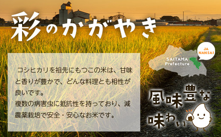 <令和7年産>「彩のきずな・彩のかがやき」10kg(5kg×2袋・精米) 【11246-0283】