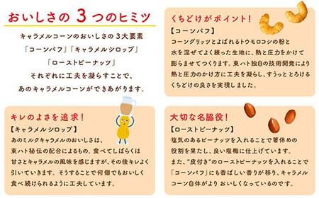 【コク深 塩キャラメル味】東ハト ソルティキャラメルコーン 67g×12個 スナック菓子 濃い味 ピーナッツ 子供 こども おやつ お菓子 FAA-076