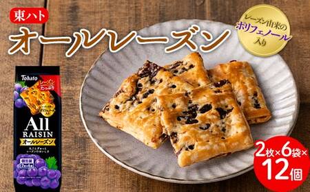 専用枠　オールドレース　100袋 東ハト オールレーズン 2枚×6袋×12個 クッキー お菓子 FAA-074 | 埼玉