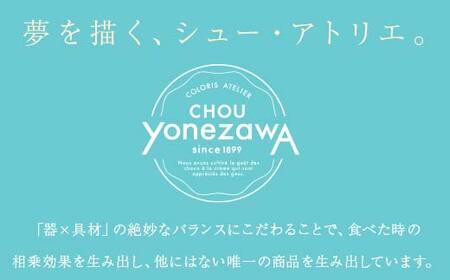 【ふるなびWEEK対象】シュークリーム詰め合わせ スイーツ デザート おやつ お菓子 食品 FAA-235