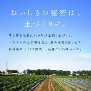 富の川越いも3kgセット FAA-229