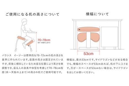 ラクに姿勢がよくなる 【バランス イージー(カバー付き)／ダーク