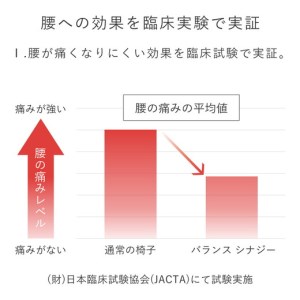 腰痛対策椅子 バランス シナジー（カバー付き）【織柄ブラウン